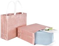 Reusable Grocery  Non-woven Shopping Bags 