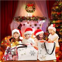 Christmas Canvas Tote Bags Wholesale