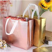 Sliver Non Woven Shopping Bags Wholesale